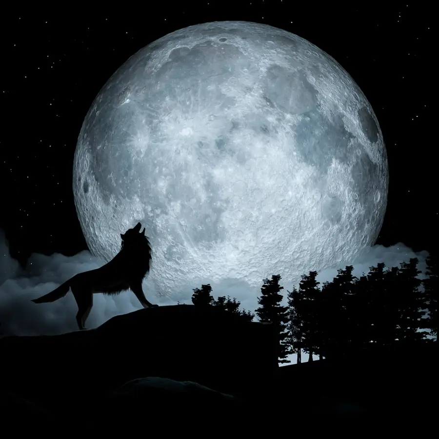 luna llena de lobo